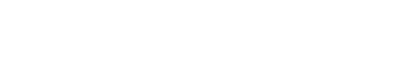 light logo